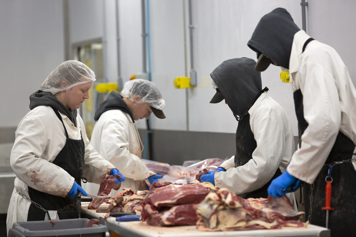 A team of butchers break down a beef carcass in the Cut and Wrap Module of a Friesla Meat Processing System.