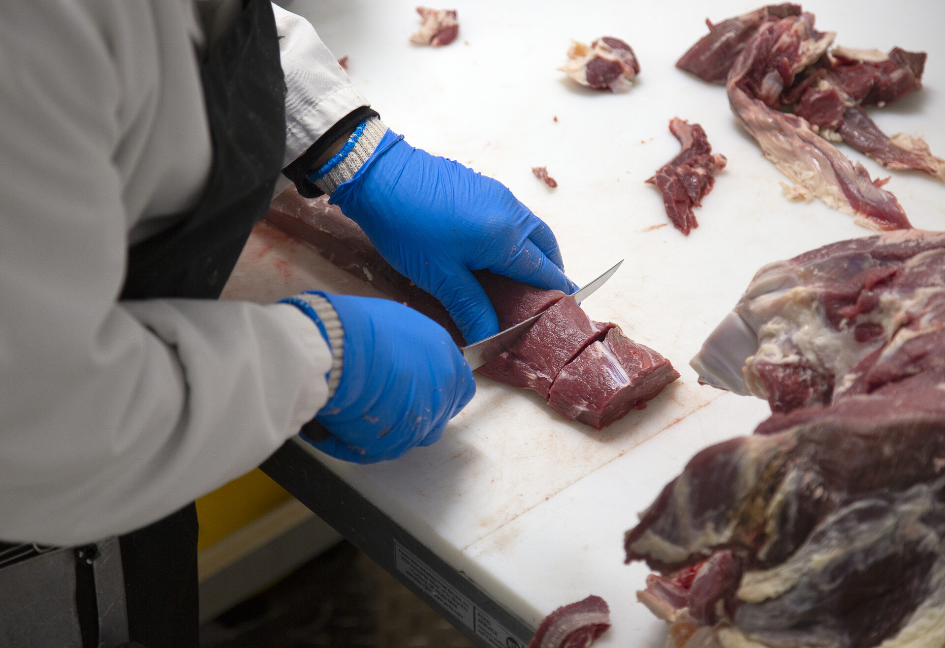 A butcher cuts filet mignon steaks from the tenderloin of a beef carcass.