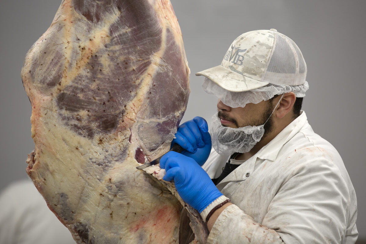 Butcher trims a beef carcass in the Cut and Wrap Module of a Friesla Meat Processing System.