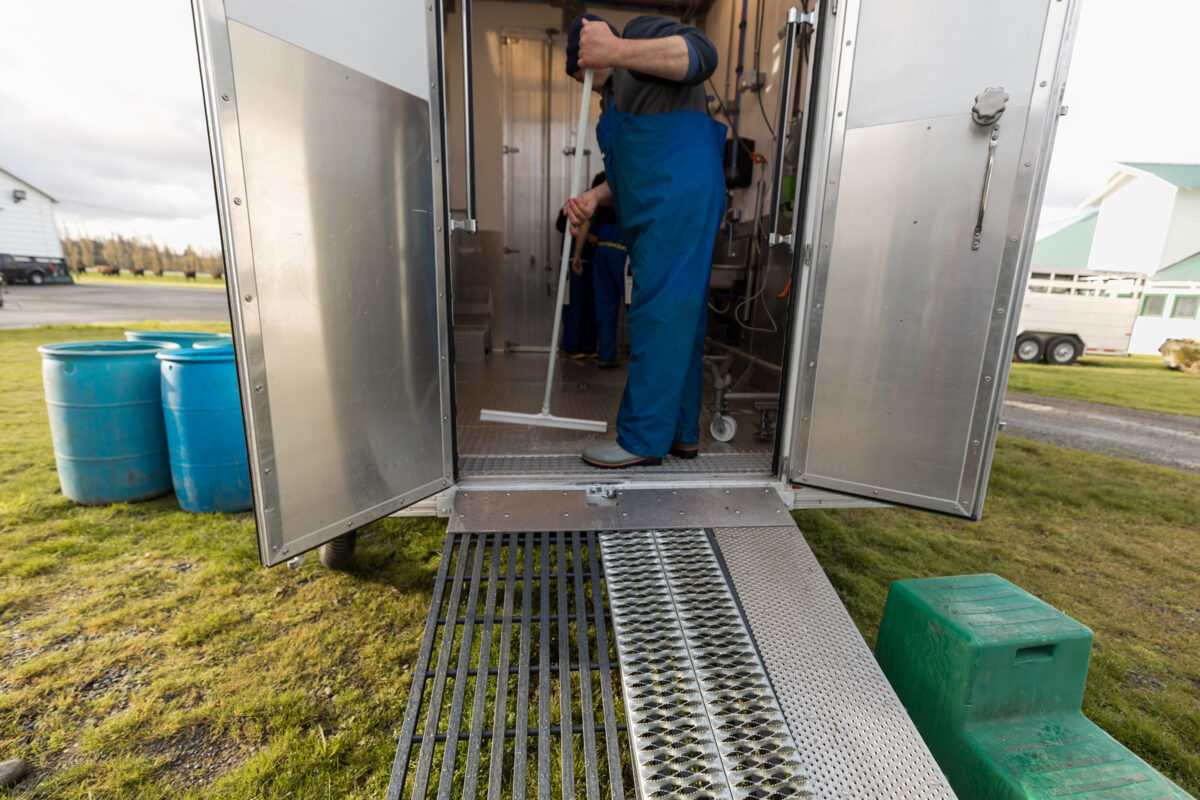 Butcher cleaning USDA-compliant Friesla Mobile Slaughterhouse using squeegee and built-in floor drains.