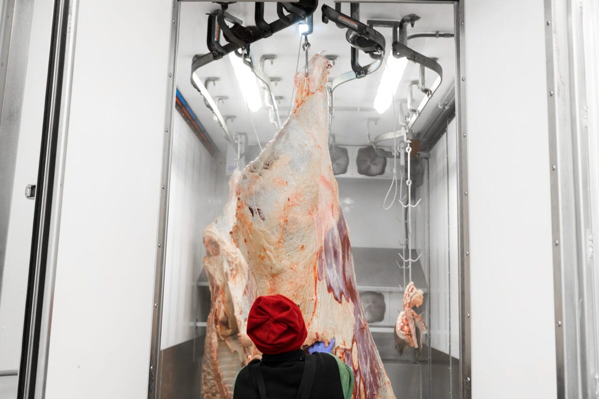 Butcher transferring half beef carcass on the meat rail into Drip Cooler room of a Friesla Mobile Slaughter