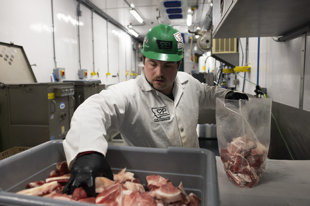 Butcher filling bag of pork trim for vacuum sealing in The Producer Partnership's Cut and Package Module.