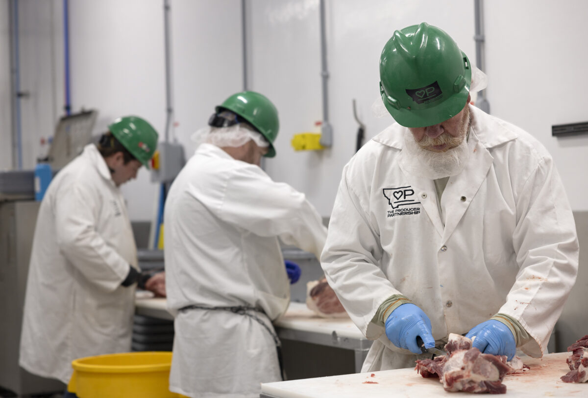 The Producer Partnership butchers fabricate and breakdown beef carcasses on polytop cutting tables in their Friesla Cut & Wrap Module.