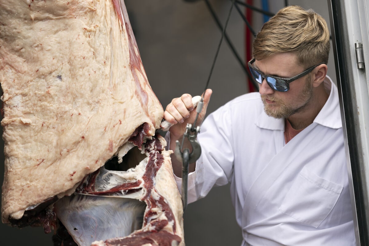 Butcher slices through beef carcass half in quartering process during the offload process at The Meating Place Butcher Shop.