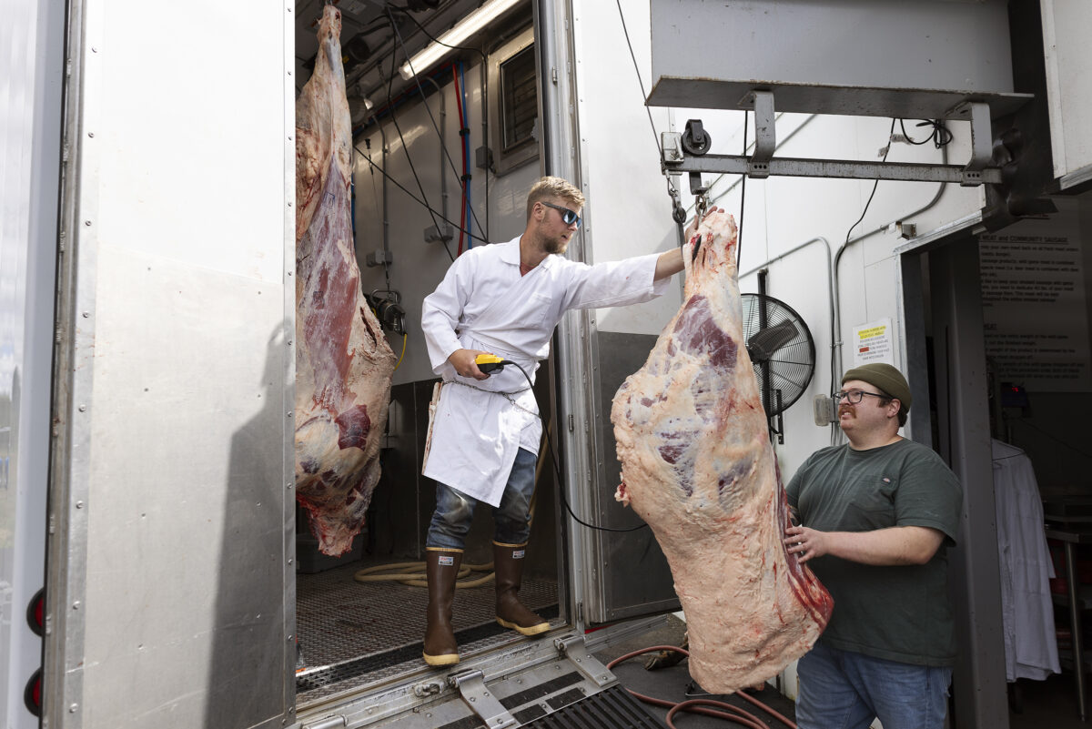 Butchers bring beef carcass quarters into The Meating Place Butcher Shop from their Friesla Mobile Harvest Unit.