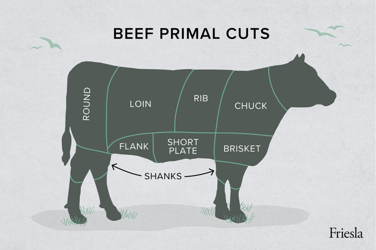 Graphic showing beef outline divided into primal cuts of a beef cow. 